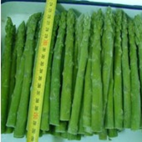 Frozen asparagus